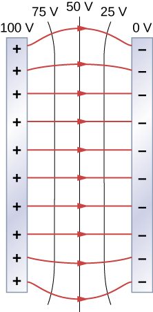 The figure shows two metal plates and the electric field lines between them. The potential of the left plate is 100V and right plate is 0V and there are equipotential lines of 75V, 50V and 25V between the plates.