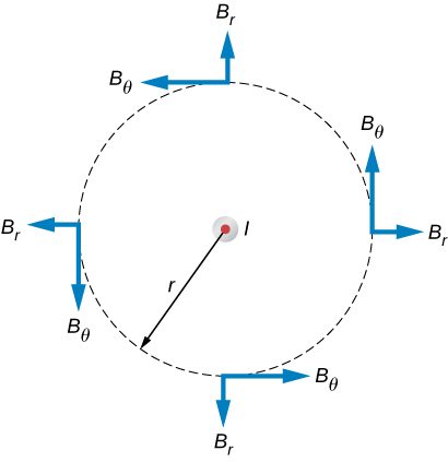 Figures shows an infinitely long, thin, straight wire with the current directed out of the page. The possible magnetic field components in this plane, BR and BTheta, are shown at arbitrary points on a circle of radius r centered on the wire.