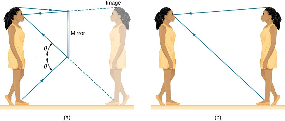 Figure a is a drawing of a girl standing in front of a mirror and looking at her image. The mirror is about half as tall as the girl, with the top of the mirror above her eyes but below the top of her head. The light rays from her feet reach the bottom of the mirror and reflect to her eyes following the law of reflection: the angle of incidence theta is equal to the angle of reflection theta. The rays from the top of her head reach the top of the mirror and reflect to her eyes. Figure b is a drawing of the same girl looking at her twin. The twin is facing her and is at the same location, relative to her, that her image is in figure a. The rays from the twin’s feet and head travel directly to the girl’s eyes, reaching them in the same direction as the reflected rays in figure a.