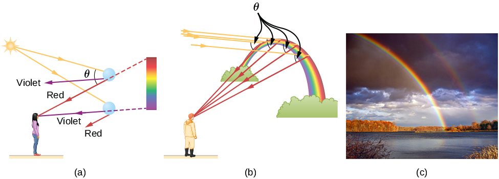 In figure a, sunlight is incident on two water droplets close to one another. The incident rays undergo refraction and total internal reflection. Red light emerges from the upper drop, making an angle theta with the original direction of the ray of sunlight. Violet light emerges at a smaller angle. Red and violet also emerge from the lower droplet at slightly different angles. A woman with her back to the sun and facing the droplets observes from a distance. The red from the upper droplet and the violet from the lower droplet reach the observer’s eyes from different directions. The observer sees a band of color with violet at the bottom and red at the top. In figure b, a man looks at the rainbow, which is in the shape of an arc. Parallel rays from behind the man fall on the outside of the rainbow at different positions, reflect and refract and then reach the observer, each ray making the same angle theta with the incident ray. The rays reaching the observer are red. Figure c shows a photograph of a double rainbow in the sky.