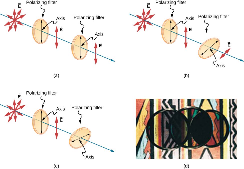 This figure shows three illustrations of randomly polarized light passing through two polarizing filters, one after the other, in various orientations. In figure a, the two filters have axes oriented parallel to each other, in b the axis of the second filter is at an intermediate angle, between zero and ninety degrees, to the first’s, and in c the axis of the second filter is perpendicular to the first’s. Figure d is a photograph of the actual result of the first (parallel) and last (perpendicular) arrangements. In all the arrangements, the source light is randomly polarized, indicated by vector E arrows pointing in every direction in a plane perpendicular to the direction of propagation of the ray. In all the arrangements, the light that passed through the first filter, whose axis is oriented vertically, is vertically polarized, indicated by E vector arrows that only point vertically up and down. In figure a, all of the polarized light is passed by the second polarizing filter, whose axis is parallel to the first, and is still vertically polarized. In figure b, only some of the light is passed by the second polarizing filter, whose axis is tilted relative to the first. The light that passed the second filter is polarized in the direction of the second filter’s axis, and the magnitude of E is reduced. In figure c, where the filter axes are perpendicular to each other, none of the light passes through the second filter. Figure c shows a photo of three circular optical filters placed over a bright colorful pattern. Two of these filters are place next to each other and the third is placed on top of the other two so that the center of the third is at the point where the edges of the two filters underneath touch. Some light passes through where the upper filter overlaps the left-hand underneath filter. No light passes through where the upper filter overlaps the right-hand lower filter.