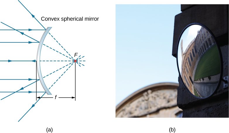 Figure a shows the cross section of a convex mirror. Parallel rays reflect from it and diverge in different directions. The reflected rays are extended at the back by dotted lines and seem to originate from a single point behind the mirror. This point is labeled F. The distance from this point to the mirror is labeled f. Figure b shows the photograph of a convex mirror reflecting the image of a building. The image is curved and distorted.