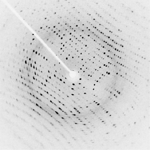 Figure shows a white background with a pattern of black dotted lines. There is a bright white spot in the center surrounded by a grey ring. A white line goes up and left from the spot.