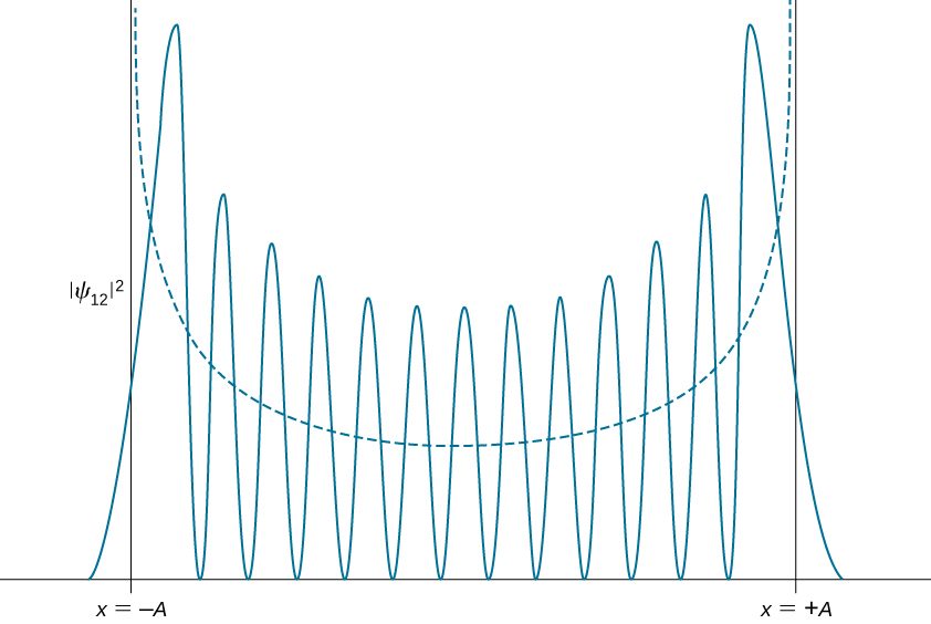The probability density distribution amplitude squared of Psi sub 12 for the quantum harmonic oscillator is plotted as a function of x as a solid curve. The curve has 13 peaks with 12 zeros between them and goes asymptotically to zero at plus and minus infinity. The amplitude of the peaks is lowest at the center and increases wit distance from the origin. All of the peaks are between x=-A and x=+A. The dashed curve which shows the probability density distribution of a classical oscillator with the same energy is a smooth upward opening curve.