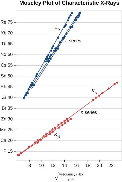 The Moseley plot of characteristic X rays shows a plot of the atomic number as a function of the square root of the frequencies in Hertz divided by 10 to the 16. The vertical scale goes from 0 to 80 and labels the elements whose atomic number are a multiple of 5: P, C a, M n, Z n, B r, Z r, R h, S n, C s, N d, T b, Y b, and R e. The horizontal scale goes from 0 to 24. The data falls along several straight lines, corresponding to the series. The L series, in blue, lies above the K series, in red and all the L lines are steeper than the K lines. The L sub alpha series has the steepest slope of the L series. Two K series curves are shown, with the K sub alpha slope slightly steeper than the K sub beta slope.