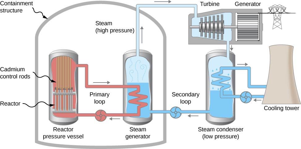 A closed structure labeled containment structure has two vessels inside it, a reactor pressure vessel and a steam generator. The former contains cadmium control rods at the top and a reactor at the bottom. A closed loop labeled primary loop runs from the top to the bottom of the vessel. Part of this loop is within the second vessel, steam generator. This is filled with water and steam. A second closed loop labeled secondary loop runs from the steam generator to outside the containment structure and back in. Outside the structure, it passes through first a turbine and then a steam condenser. The turbine is attached to an electric generator. A closed loop runs from the steam condenser, through a cooling tower and back in.